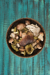 wicker plate with different mushrooms