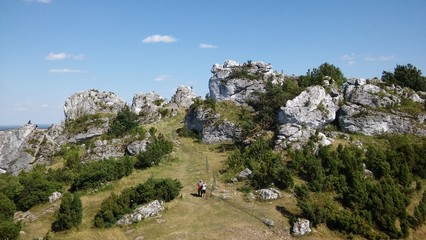 Summer view of the mountains
