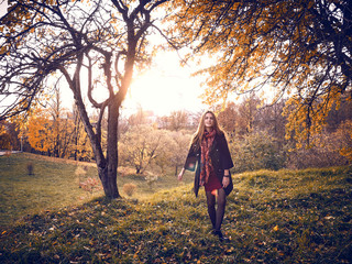 A young stranger strolls through the autumn apple orchard.