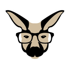 kangaroo face head in glasses vector illustration flat style