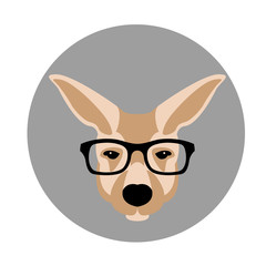 kangaroo face head in glasses vector illustration flat style