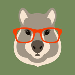 quokka  face head in glasses vector illustration flat style