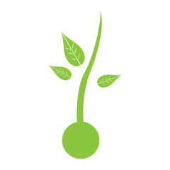 Isolated plant silhouette on a white background, vector illustration