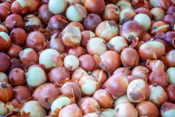 Fresh onions, top view, background and texture
