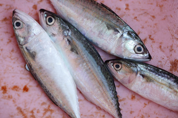 fresh fish on grunge background and copyspace.