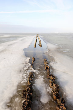 Dutch arctic