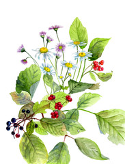 Watercolor composition of flowers and wild berries, and green leaves