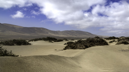 Lanzarote