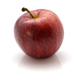 One raw Gala apple isolated on white background