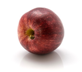 One whole Gala apple isolated on white background