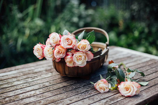 Roses in a trug