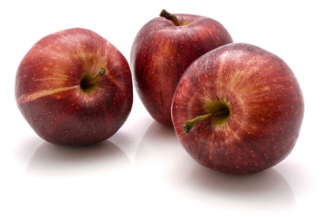 Three Gala apples isolated on white background
