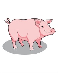 Realistic Pig-vector drawing-isolated white background