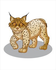 Cue Lynx-vector drawing-isolated white background