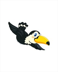 Amazingly beautiful bird toucan-vector drawing
