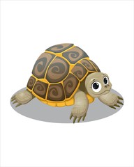 Little cute turtle -vector drawing