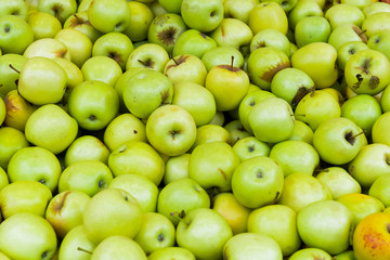 Background of green apples on sale at the local farmer market. Organic, healthy, vegetarian diet food concept. Selective focus