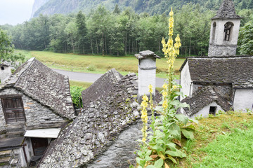 Traditional rural village of Fontana on the Swiss alps