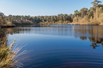 Groot Goorven, Oisterwijkse vennen