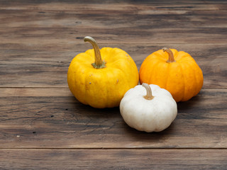 Small white, medium yellow, and big orange pumpkins put in a group on dark wooden background show colorful pattern and scale used in Halloween, still life, kitchen, and comparison, and country themes