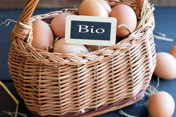 Bio Eier