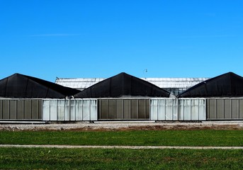Fototapeta na wymiar Big industrial greenhouse exterior