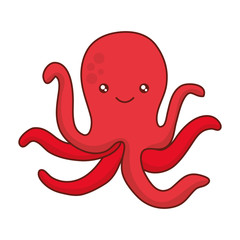 cute animals design