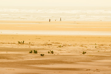 Tajpur sea beach