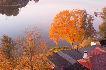 Widok z wieży widokowej we Wdzydzach Kiszewskich © Agnieszka Rodowicz