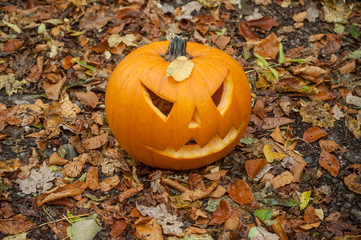 d&eacute;coration citrouille pour Halloween en for&ecirc;t