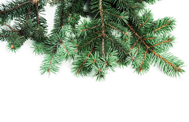 Background with christmas tree branches and space for text  for Christmas card, banner, flyer, wallpapers .