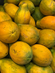 Pile of Holland papaya