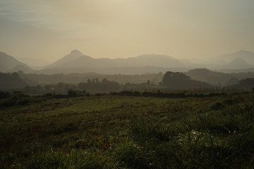 Sombras en el atardecer