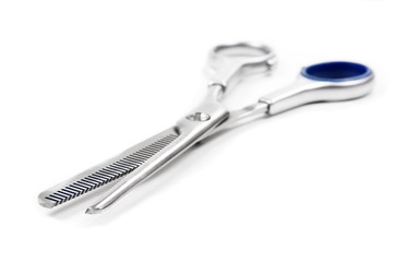 Professional scissors on white