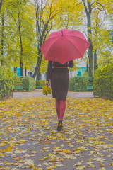 autumn day a girl with leaves and umbrella in the Park