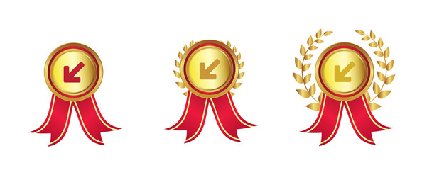 Pfeil nach unten links - Auszeichnungen - Medaillen