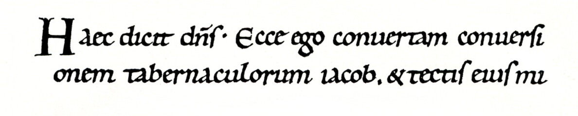 Fototapeta na wymiar Carolingian minuscule, 11th century (from Meyers Lexikon, 1896, 13/420/421)