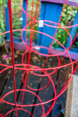 Red Plant Cage Abstract