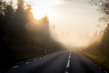 Driving on a misty road in the morning