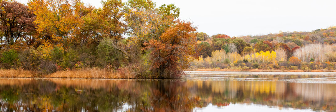 A banner sized image of colorful autumn trees reflected in the still water of a lake in Wisconin with a white sky.