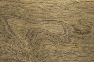 American walnut veneer. Backdrop or background wooden.