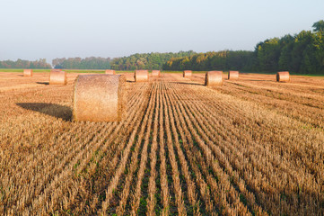Roles of straw on the field