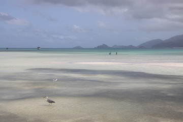 Seychelles lagon plage