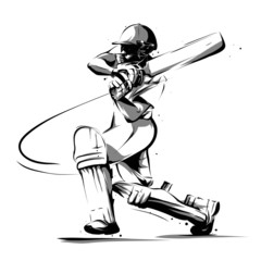 cricket player batsman batting side - obrazy, fototapety, plakaty