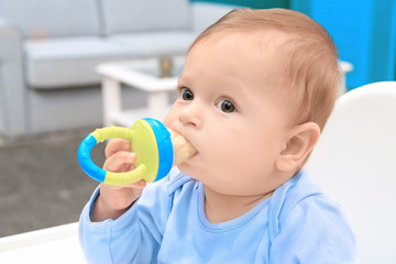 Cute little baby with nibbler at home