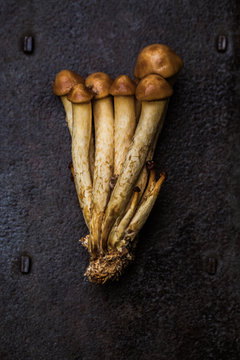Mushrooms