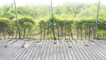 Background wood sheet flooring artificial fracture and green tree