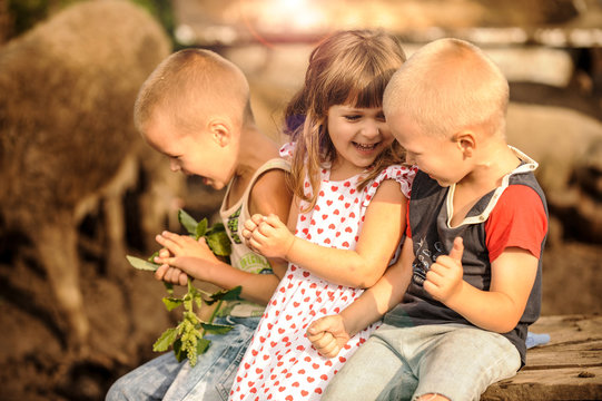 A girl from Italy came to visit Russian boys. One girl and two boys feed the pigs. The concept of friendship between peoples and love of animals.