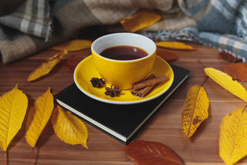 Autumn mood. Yellow cup of tea with spices and book among the autumn leaves