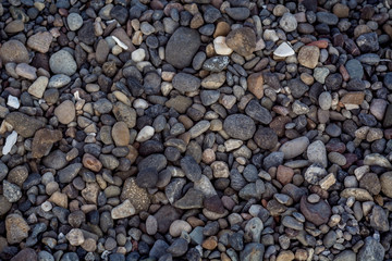 Rocks on Beach